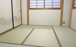 ��q������