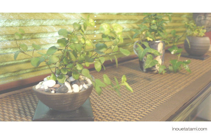 �~�j��̃I�[�_�[�i