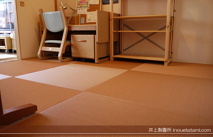 �����F�̗�������