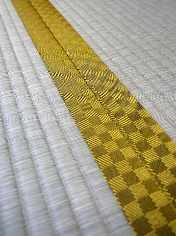 �� �F ���} No800