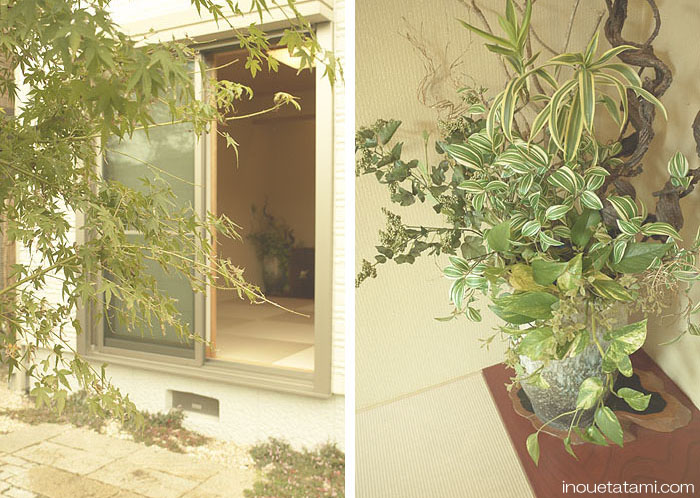 ����l�@�L���������܂����B�@���㋤�X�������肢�v���܂��B