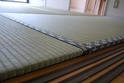 20�o���݂̔���