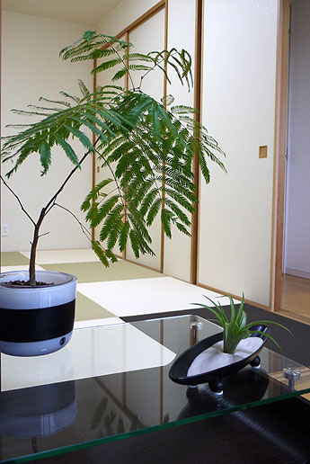 ���D�݂�Color�g����