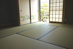 �޲�ݘa����@�V��