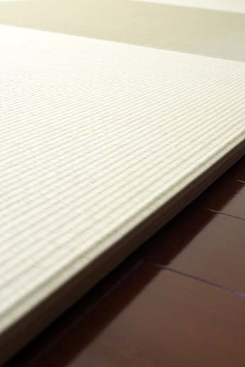 �d�����݁F�R�O�o