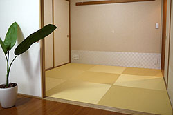 �V���v���ł������Șa