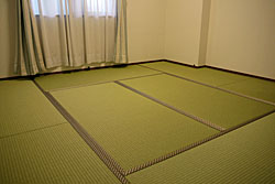 �t���[�����O���~������