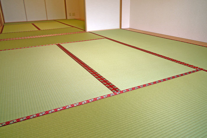 �_�C�P���a����