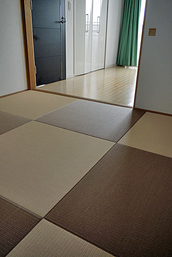 ���_����