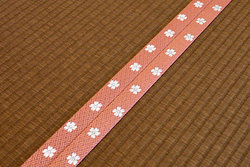 ����ݐF�@�\�ւ�