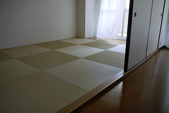 �񕔉����ᑐ�F�̗�����