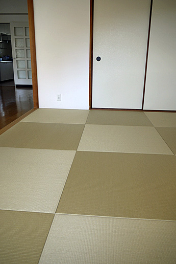 �a�����ᑐ�F�œ���