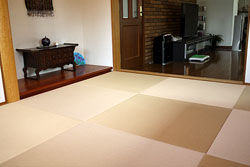 color�����@�����F