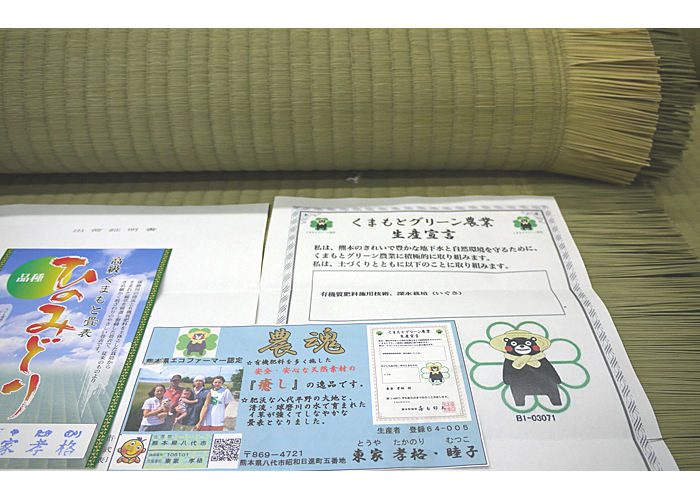 �ؖ����t����