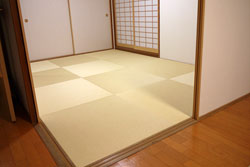 ���E��E��q