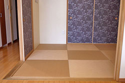 ��������̨��13