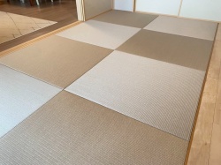 ���@�_�C�P���a����