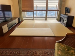 �a����̒u����