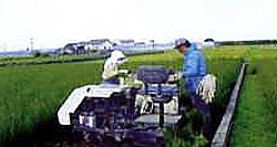 ���Y�u�����h��