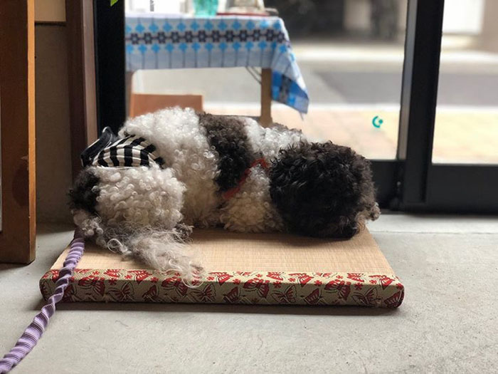 ���킢����