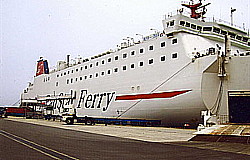 �p���X�^�[�h���[����