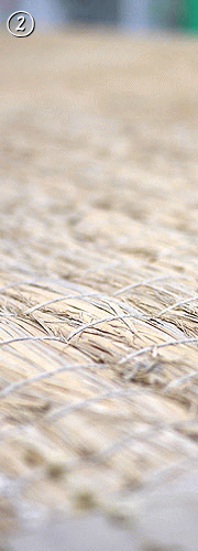 �m���i�������j